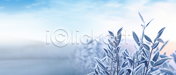 사람없음 JPG 편집이미지 겨울 나뭇가지 나뭇잎 눈(날씨) 눈내림 백그라운드 서리 카피스페이스 하늘