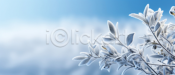 사람없음 JPG 편집이미지 겨울 나뭇가지 나뭇잎 눈(날씨) 눈내림 백그라운드 서리 카피스페이스 하늘색