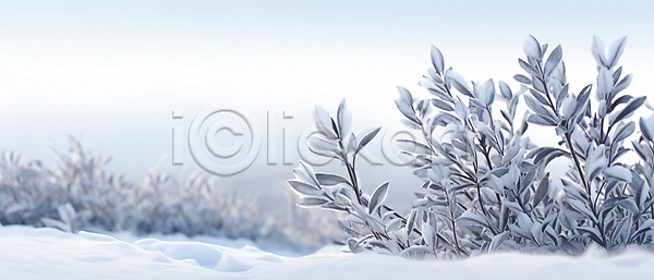 사람없음 JPG 편집이미지 겨울 눈(날씨) 눈내림 백그라운드 서리 설원 잎 카피스페이스 풀(식물)