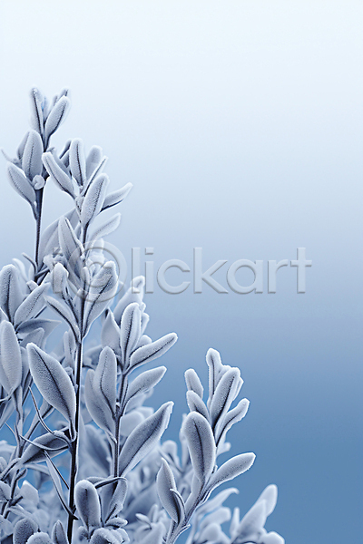 사람없음 JPG 편집이미지 겨울 나뭇가지 나뭇잎 눈(날씨) 눈내림 백그라운드 서리 카피스페이스 하늘색
