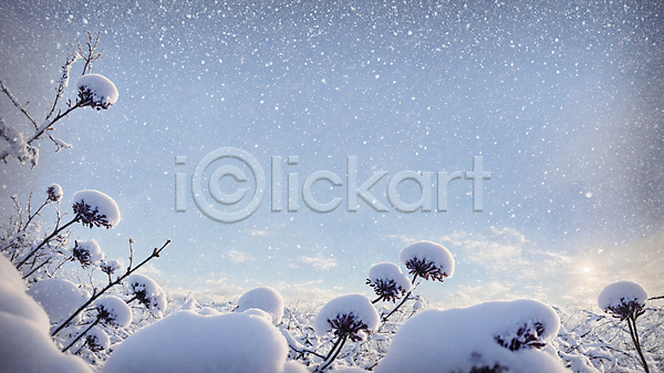 추위 사람없음 JPG 편집이미지 겨울 눈(날씨) 눈내림 설원 풍경(경치) 하늘