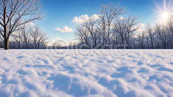 추위 사람없음 JPG 편집이미지 겨울 나무 눈(날씨) 설원 풍경(경치) 하늘