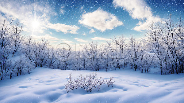 추위 사람없음 JPG 편집이미지 겨울 나무 눈(날씨) 눈내림 설원 풍경(경치) 하늘