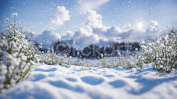 추위 사람없음 JPG 편집이미지 겨울 눈(날씨) 눈내림 설원 풀(식물) 풍경(경치) 하늘