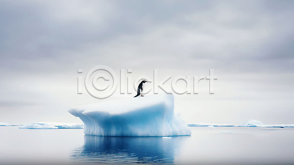 사람없음 JPG 편집이미지 남극 바다 백그라운드 빙산 빙하 펭귄 한마리