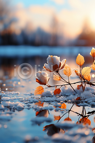 분위기 사람없음 JPG 편집이미지 겨울 눈(날씨) 눈꽃 반사 잎 자연 풍경(경치) 하늘 호수