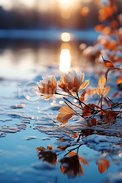 분위기 사람없음 JPG 편집이미지 겨울 눈(날씨) 눈꽃 잎 자연 풍경(경치) 하늘 호수