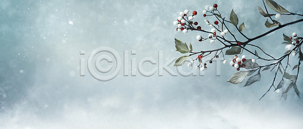 사람없음 JPG 일러스트 겨울 꽃나무 나뭇가지 나뭇잎 눈(날씨) 백그라운드 열매 유화 카피스페이스 하늘색