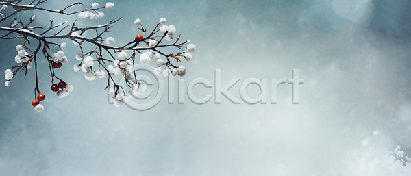 사람없음 JPG 일러스트 겨울 꽃나무 나뭇가지 눈(날씨) 백그라운드 열매 유화 카피스페이스 하늘색