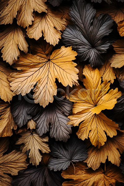 사람없음 JPG 편집이미지 가을(계절) 갈색 나뭇잎 낙엽 단풍 백그라운드 잎 자연 질감
