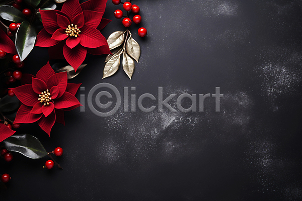 사람없음 JPG 디지털합성 편집이미지 검은색 겨울 백그라운드 빨간색 열매 잎 카피스페이스 포인세티아