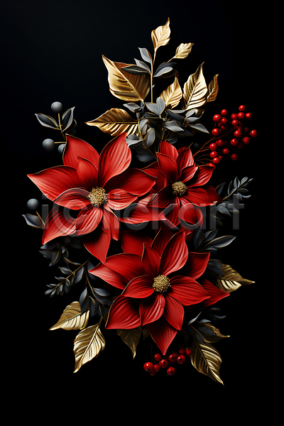 사람없음 JPG 디지털합성 편집이미지 검은색 겨울 백그라운드 빨간색 열매 잎 포인세티아