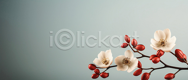 사람없음 JPG 디지털합성 편집이미지 꽃 꽃봉오리 나뭇가지 백그라운드 카피스페이스 회색