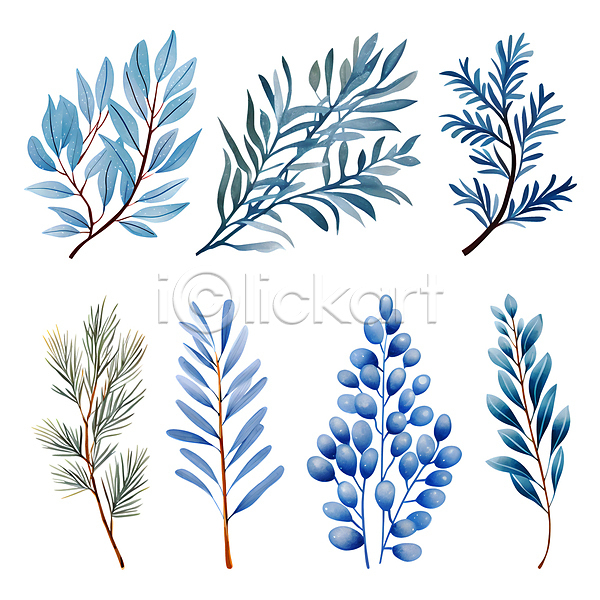 사람없음 PSD 일러스트 겨울 나뭇잎 보테니컬아트 세트 수채화(물감) 엘리먼트 열매 잎 파란색 풀(식물) 풀잎