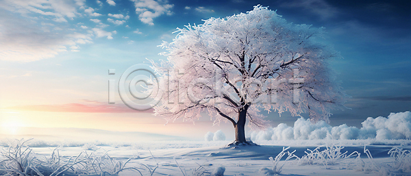 사람없음 JPG 편집이미지 겨울 겨울풍경 구름(자연) 나무 눈(날씨) 설원 풀(식물) 풍경(경치) 햇빛