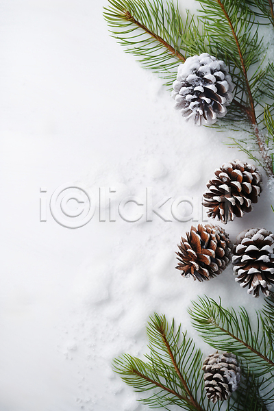 사람없음 JPG 디지털합성 편집이미지 겨울 눈(날씨) 백그라운드 소나무 솔방울 솔잎 풀잎