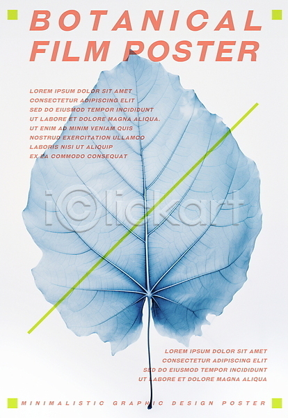 분위기 빈티지 사람없음 PSD 일러스트 그래픽 나뭇잎 낙엽 식물 인쇄 잎 타이포그라피 파란색 판화 포스터