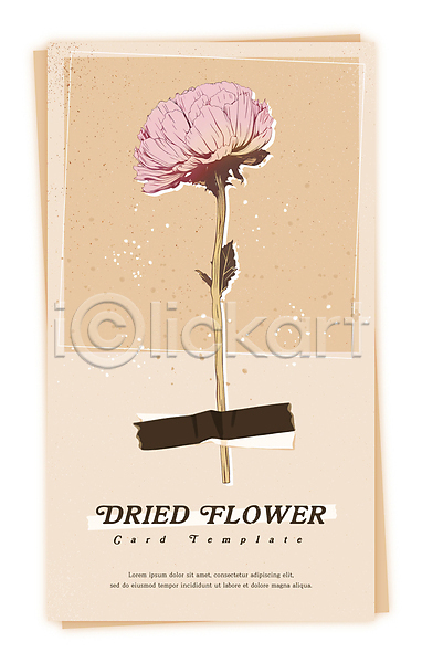 감성 건조 빈티지 사람없음 PSD 일러스트 꽃 드라이플라워 마스킹테이프 베이지색 식물 압화 카드(감사)
