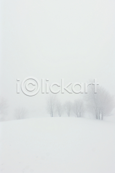 고요 추위 사람없음 JPG 일러스트 겨울 나무 눈(날씨) 백그라운드 설경 설원 자연 풍경(경치) 흰색