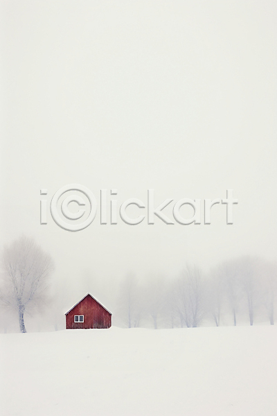 고요 추위 사람없음 JPG 일러스트 겨울 나무 눈(날씨) 백그라운드 설경 설원 자연 주택 풍경(경치) 흰색