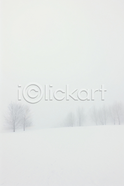 고요 추위 사람없음 JPG 일러스트 겨울 나무 눈(날씨) 백그라운드 설경 설원 자연 풍경(경치) 흰색