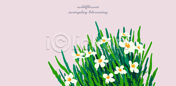 감성 사람없음 AI(파일형식) 일러스트 그림 꽃 들꽃 백그라운드 식물 자연 흰색