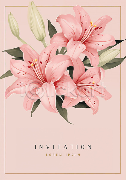 사람없음 PSD 편집이미지 백합(꽃) 분홍색 사각형 잎 초대장 카드(감사)