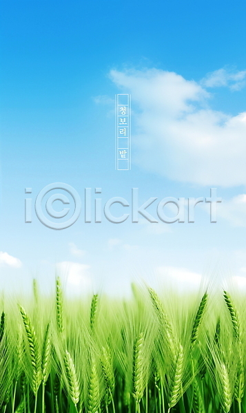 사람없음 PSD 편집이미지 구름(자연) 맑음 보리밭 봄 식물 여름(계절) 자연 청보리 청보리밭 초원(자연) 포스터 풍경(경치) 하늘