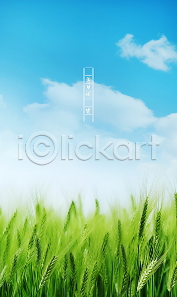 사람없음 PSD 편집이미지 구름(자연) 맑음 보리밭 봄 식물 여름(계절) 자연 청보리 청보리밭 초원(자연) 포스터 풍경(경치) 하늘