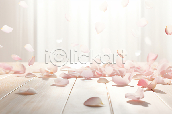 사람없음 JPG 디지털합성 편집이미지 꽃 꽃잎 백그라운드 분홍색 흩날리기
