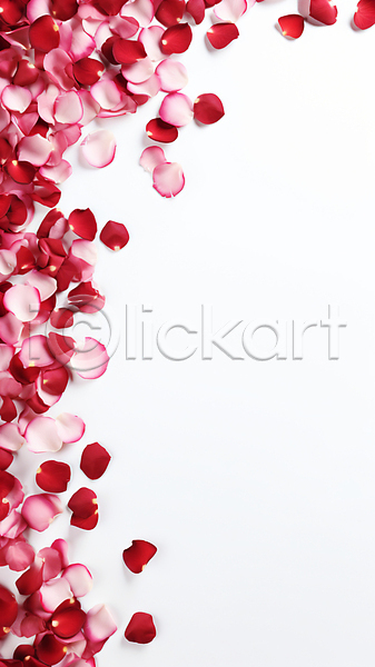 사람없음 JPG 디지털합성 편집이미지 꽃 꽃잎 백그라운드 분홍색
