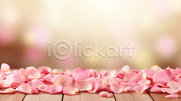 사람없음 JPG 디지털합성 편집이미지 꽃 꽃잎 백그라운드 분홍색