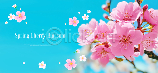 사람없음 PSD 템플릿 꽃 꽃잎 배너 벚꽃 봄 이벤트 하늘색 화사함