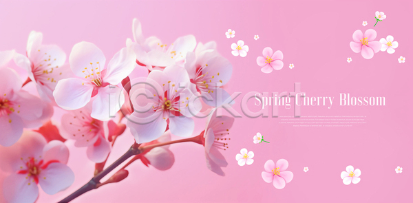 사람없음 PSD 템플릿 꽃 꽃잎 배너 벚꽃 봄 분홍색 이벤트 화사함