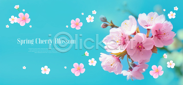 사람없음 PSD 템플릿 꽃 꽃잎 배너 벚꽃 봄 이벤트 하늘색 화사함