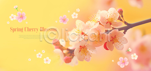 사람없음 PSD 템플릿 꽃 꽃잎 노란색 배너 벚꽃 봄 이벤트 화사함