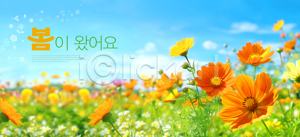 사람없음 PSD 템플릿 꽃 꽃밭 배너 봄 초원(자연) 풍경종 하늘 화사함