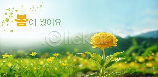 사람없음 PSD 템플릿 꽃 꽃밭 민들레 배너 봄 초원(자연) 풍경종 하늘 화사함