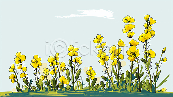 평화 사람없음 JPG 디지털합성 일러스트 구름(자연) 노란색 백그라운드 봄 유채 유채밭 자연 편집소스 하늘