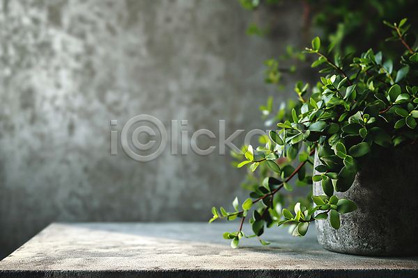 따뜻함 평화 사람없음 JPG 디지털합성 아웃포커스 편집이미지 그림자 백그라운드 벽 식물 인테리어 잎 초록색 콘크리트 편집소스 햇빛 화분 회색