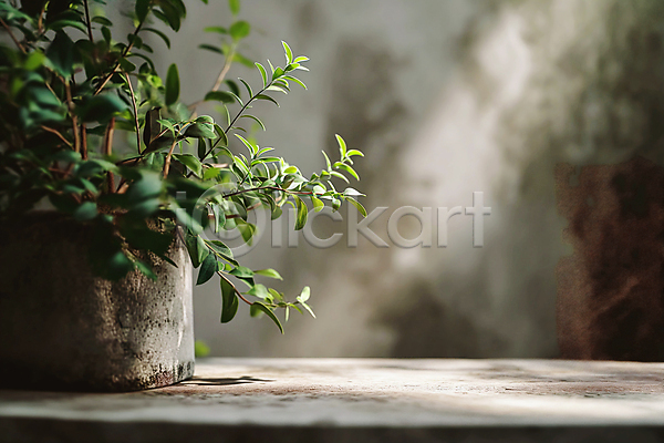 따뜻함 평화 사람없음 JPG 디지털합성 편집이미지 그림자 백그라운드 벽 식물 인테리어 잎 초록색 콘크리트 편집소스 햇빛 화분 회색