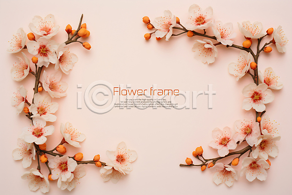 사람없음 PSD 편집이미지 꽃 나뭇가지 백그라운드 벚꽃 봄 분홍색 카피스페이스 타이포그라피 프레임