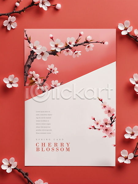 사람없음 PSD 디지털합성 편집이미지 꽃 벚꽃 봄 빨간색 카드(감사) 편집소스 프레임