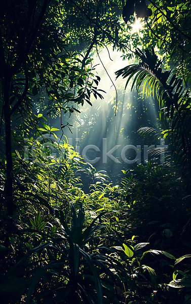 신비 사람없음 JPG 편집이미지 나무 빛 숲속 열대 열대우림 울창 자연 초록색 풍경(경치)