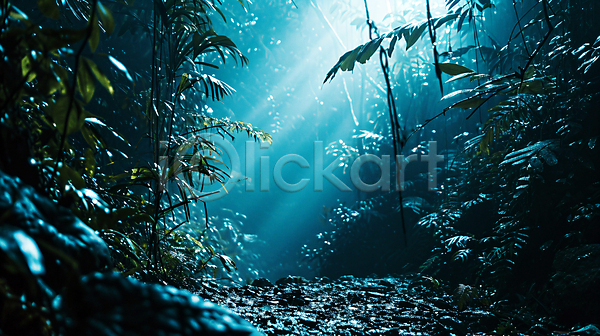 신비 사람없음 JPG 편집이미지 나무 빛 숲속 열대 열대우림 울창 자연 파란색 풍경(경치)