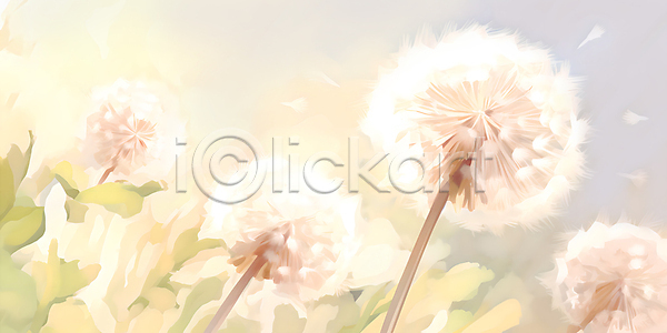 분위기 사람없음 JPG 일러스트 민들레 민들레홀씨 봄 잎 풍경(경치) 햇빛 흰색