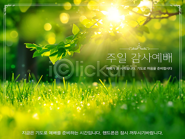 감사 따뜻함 사람없음 PSD 편집이미지 기도 나뭇잎 봄 예배 일요일 잎 종교 초록색 초봄 초원(자연) 테두리 햇빛
