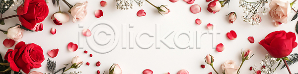 로맨틱 사랑 축하 사람없음 JPG 디지털합성 편집이미지 꽃잎 낭만적 배너 백그라운드 빨간색 장미 장식 편집소스 프레임