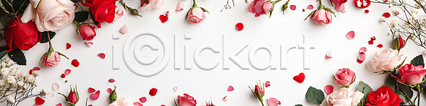 로맨틱 사랑 축하 사람없음 JPG 디지털합성 편집이미지 꽃잎 낭만적 배너 백그라운드 빨간색 장미 장식 편집소스 프레임