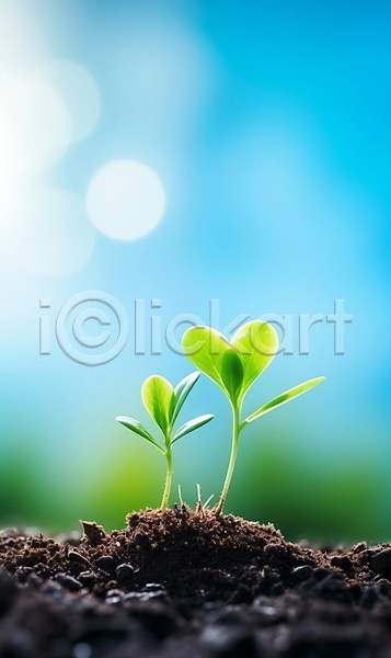 성장 사람없음 JPG 편집이미지 광합성 봄 빛 새싹 생명 야외 자연 주간 포스터 하늘 햇빛 흙